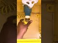 Gas tank nitrogen test #dubaigaswork