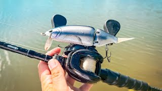 Late summer SWIMBAIT FISHING!