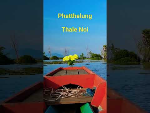 Private longtail boat on THALE NOI Thailand, Phatthalung #travel