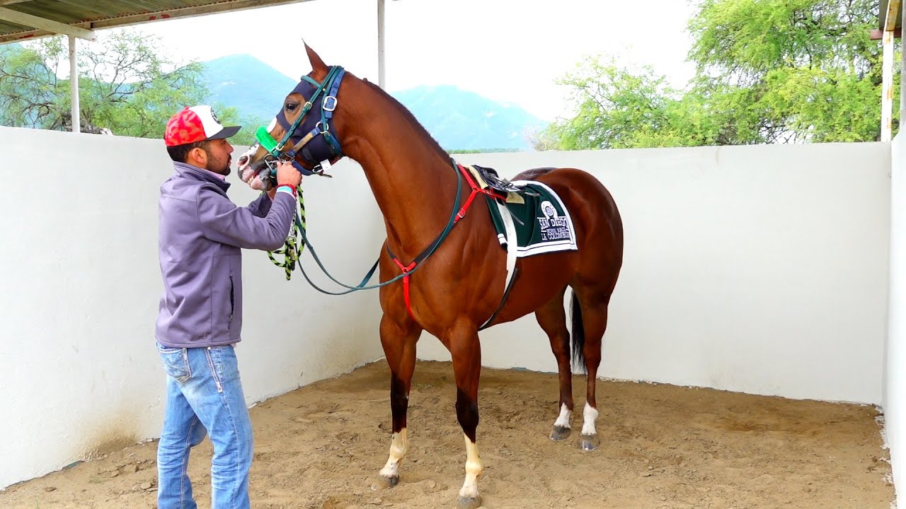 Tercia Rancho el Texano/ C.Estrella/C.San Diego/C.Santa Catarina - YouTube