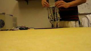 runbot walk 009