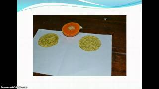 ... dengan menggunakan buah jeruk