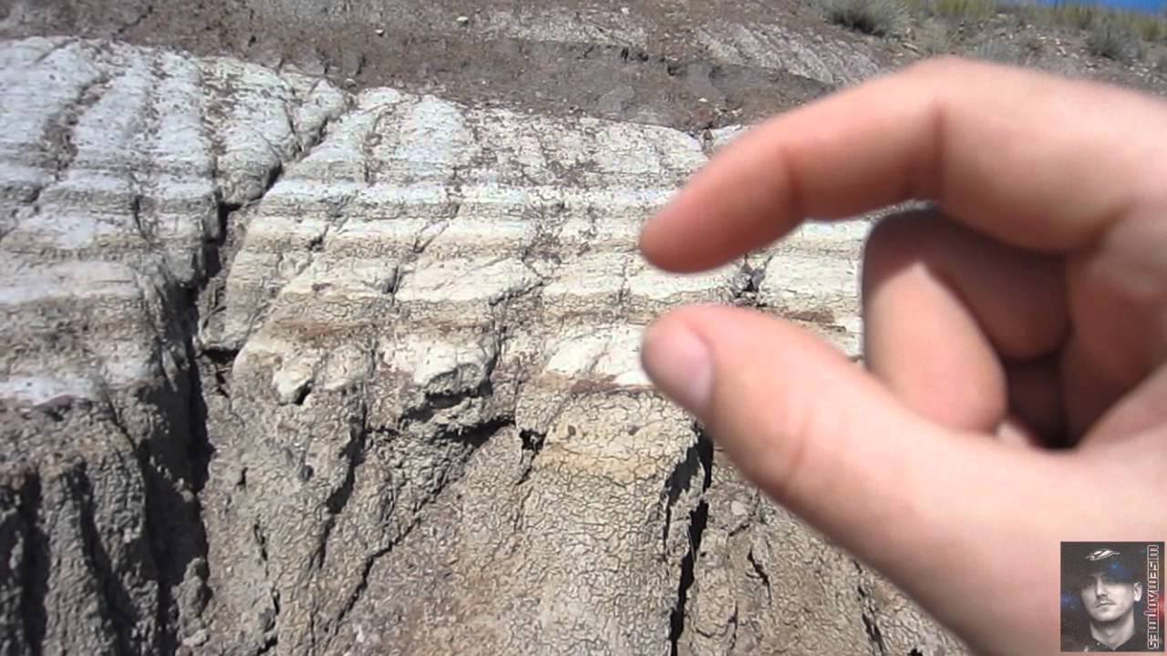 Alberta Badlands - Home of the Dinosaurs