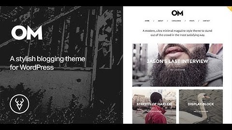 Premium Wordpress Themes | OM - A stylish blogging theme for WordPress