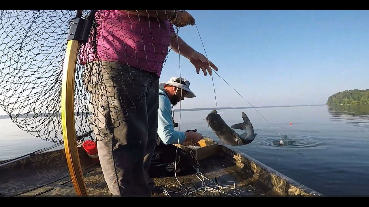 Catfish Trotline Run No. 2 with Kevin Beautiful Day on the Water