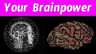 Top 10 Foods to Boost Your Brainpower & Memory (Think Smarter, Not Harder)