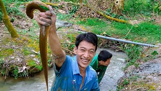 Cao Thủ Bắt Quá Nhiều Lươn Bự, Rắn, Cá Lóc 