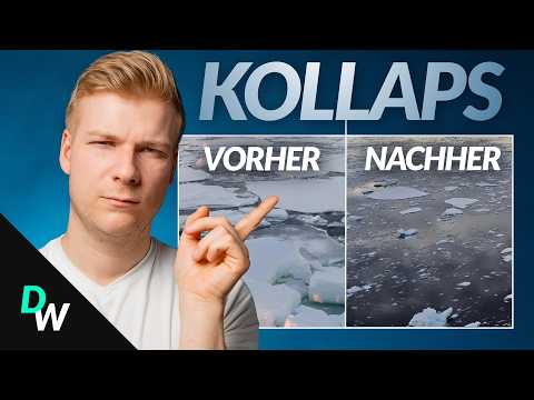 Das hätte nicht passieren dürfen