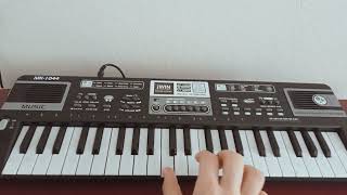 Zeynep Kurt (Çanakkale Türküsü)Amatör Org Sunumu