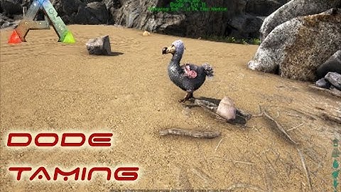 ark: survival evolved - dodo taming & review