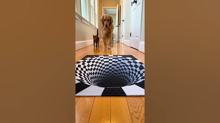 🤣Optical Illusion Rug Confuses Dog but Not the Cat!  #pets #funnyanimals #animals #cuteanimals