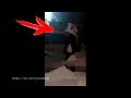 Умом РОССИЮ не понять ПРИКОЛЫ 2017 FAIL Compilation RUSSIA Fail #47