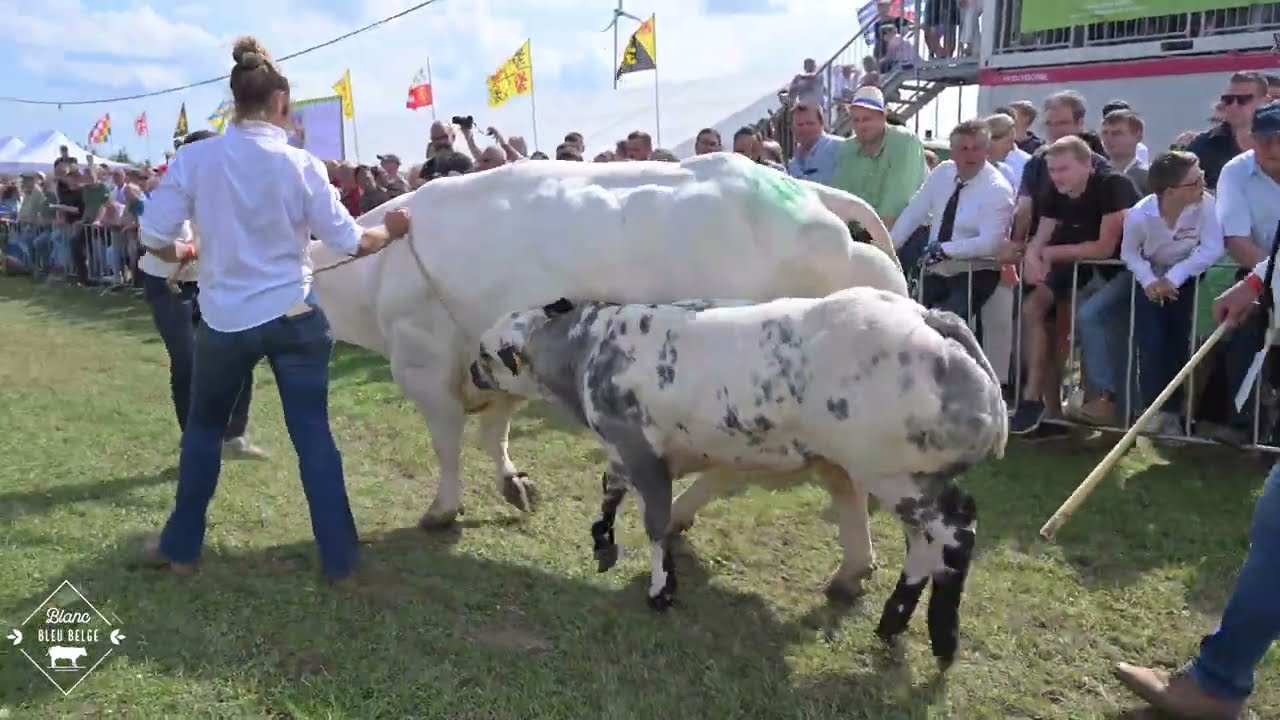 NATIONAL LIBRAMONT 2025