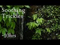 Satisfying Trickles of Soft Dribbling Water - No Music
