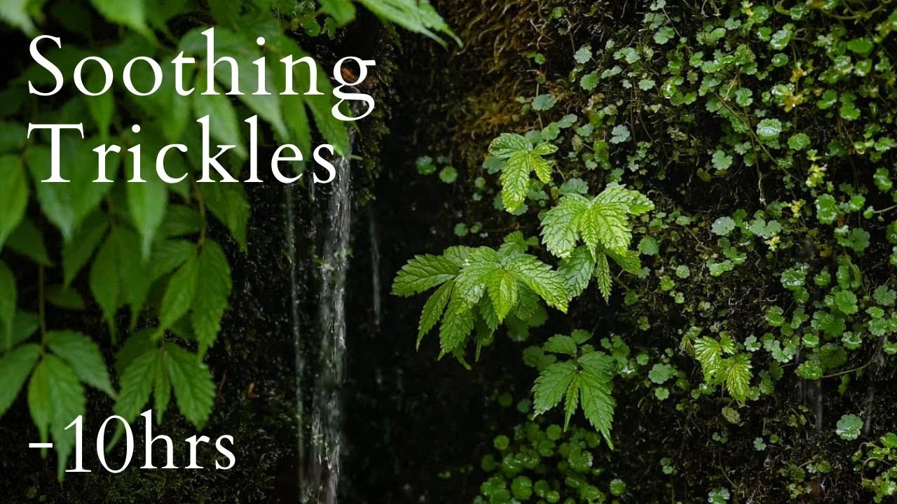 Satisfying Trickles of Soft Dribbling Water - No Music