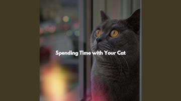 Modish Ambience for Open Work Floors