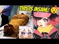 FRAIKI Reacts to The most Interesting videos on the internet 😂