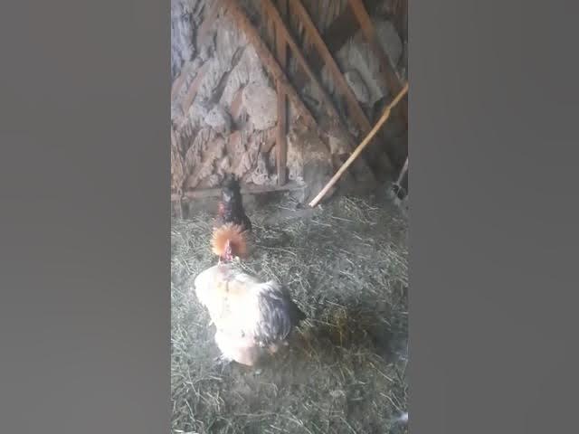 MFFM би порно онлайн көру Ұялы телефондағы порно