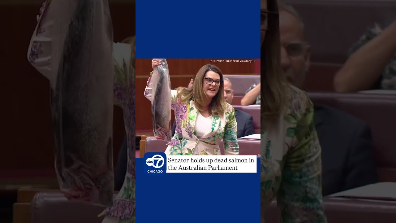 Australian Senator Holds Up Dead Salmon During Parliament Debate