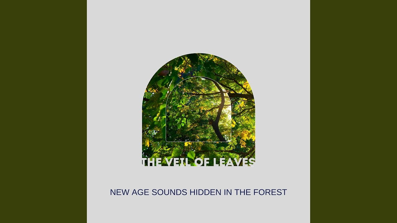 Watch Guided Meditation (with Forest Sound) on YouTube