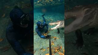 ALLIGATOR HUNTS ME UNDERWATER