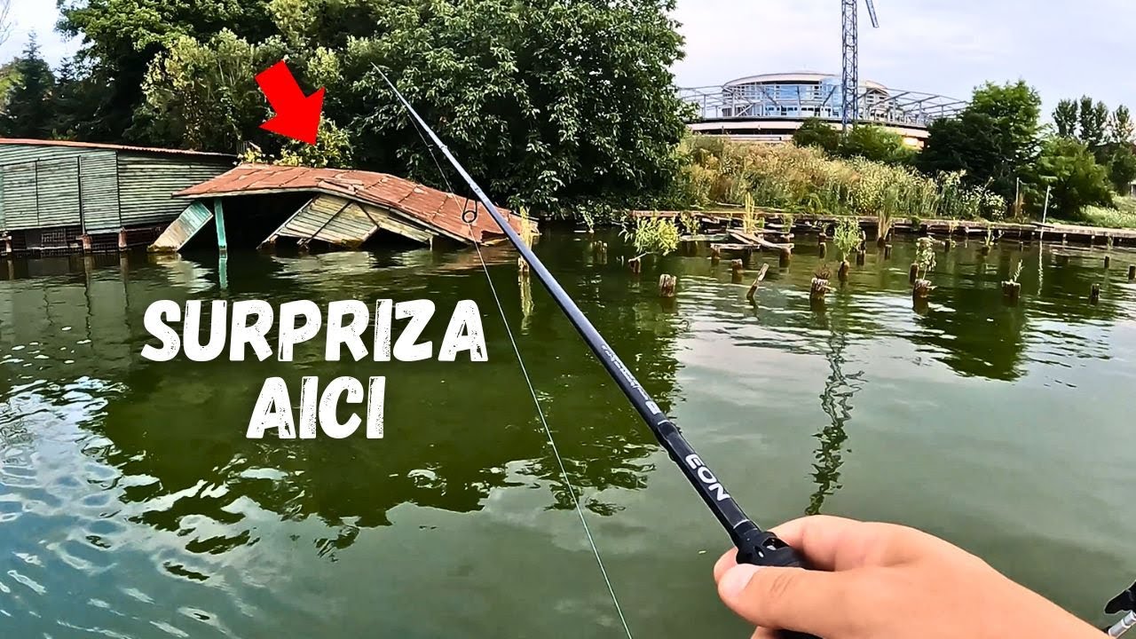 BIBANI la FOC AUTOMAT + O SURPRIZA (pe Snagov)