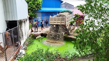 nicely action skill full project landfill ! truck unloading with bulldozer d20p push stone