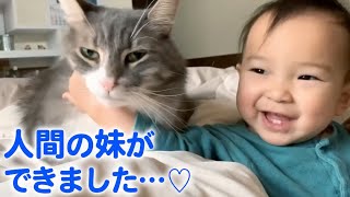 赤ちゃんを見守っていた猫。妹が成長すると、ある変化がありました！