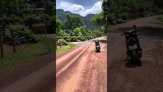 Dead snake on the road on day 1 of the Thakhek loop
