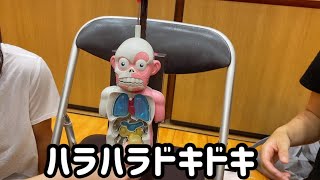 【88】人体模型で遊んでみた