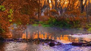 Amherst State Park