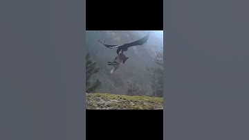 هذا خلق الله تلاوه رائعه 😨 بصوت الشيخ ياسر الدوسري