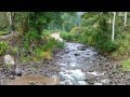 Impactante vídeo de un río en Costa Rica que crece por una "cabeza de agua"