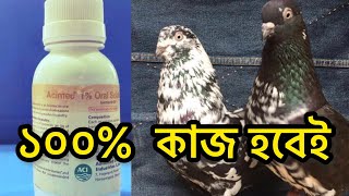 কবুতরের কৃমির কোর্স করানোর নিয়ম-Acimec 1% Solution কিভাবে কবুতরের কৃমির কোর্স করাবেন by Zahid & Pets