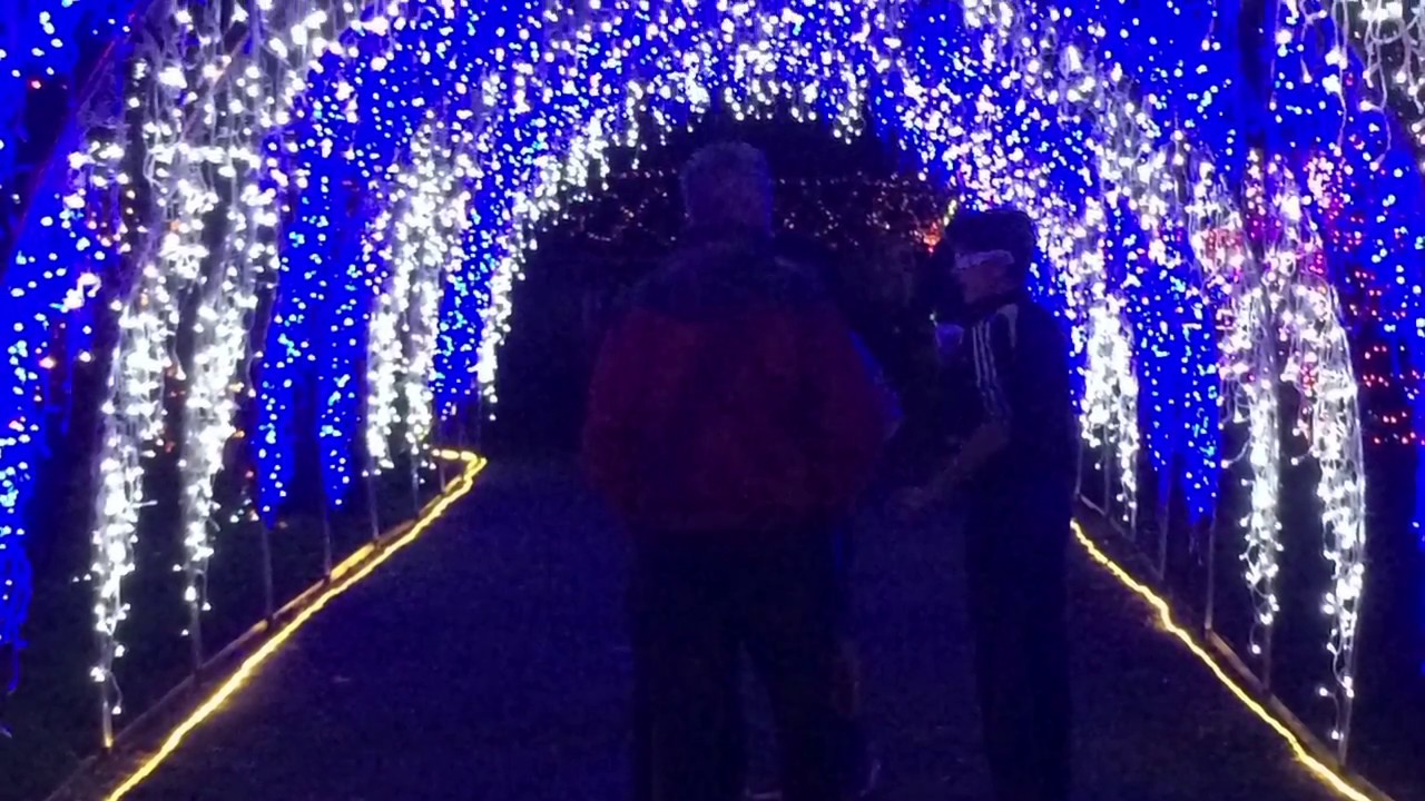 Azalea Park Holiday Light Show YouTube