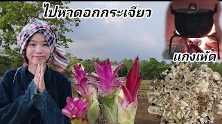 ไปหาดอกกระเจียว//เเก้งเห็ด//ต้มไก่