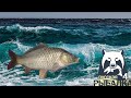 Русская рыбалка 4 | РР4 Стрим, Старый Острог |  Russian fishing 4 |  04.06.21 |