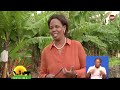 Mkulima Bishop Grace Anufaika Na Kilimo Akitumia Drip Irrigation Mkulima Bishop Grace Anufaika Na Kilimo Akitumia Drip Irrigation