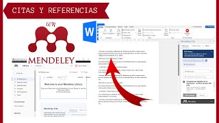 Citas y Referencias Bibliográficas con MENDELEY en WORD ✅