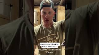 Download Lagu Underwater dropshot bait comparison MP3