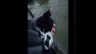 Pêche Silure Glane 1m85 in dans Paris ! [HD] Fight combat Street Fishing