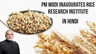 Rice Research Institute inaugurated by PM Modi, 1st IRRI outside Philippines, Current Affairs 2019 screenshot 1