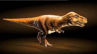 Tyrannosaurus Rex Walk Cycle