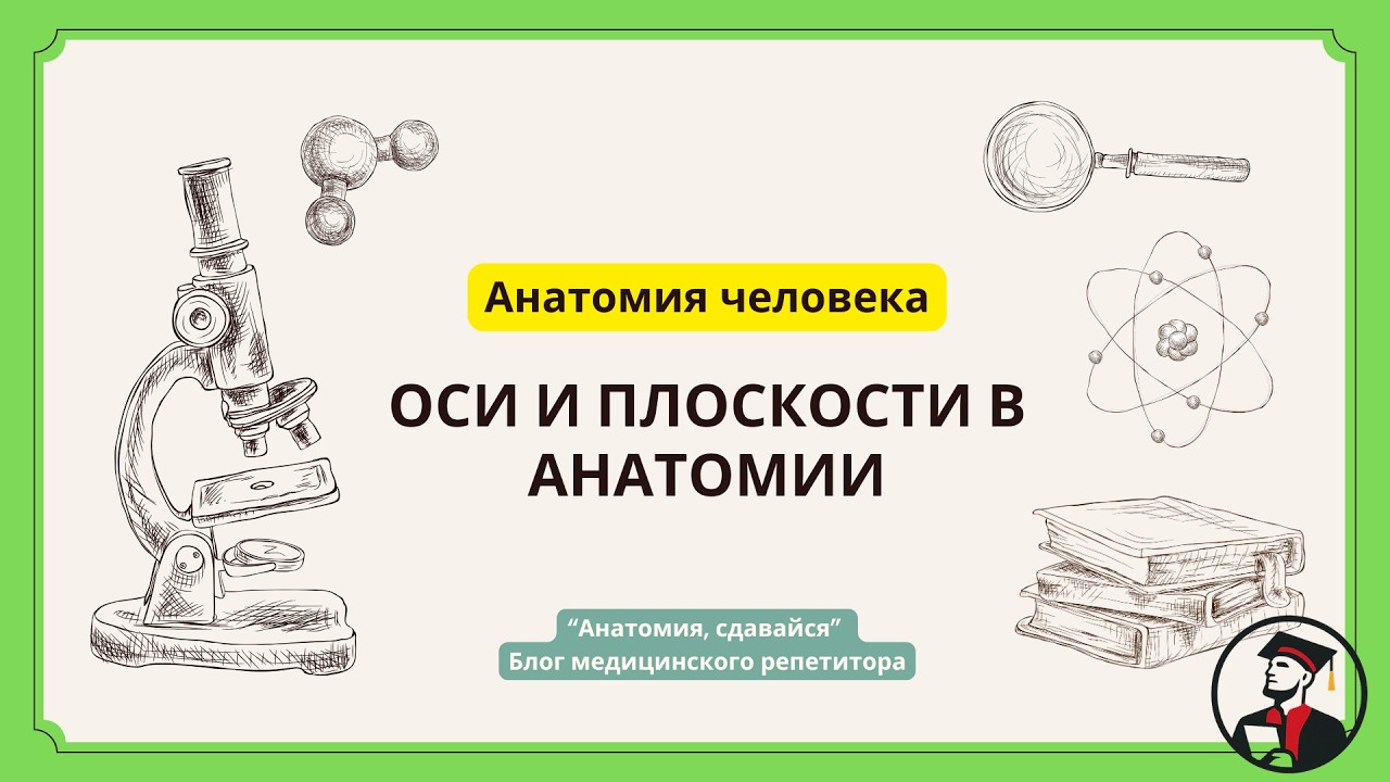 Оси и плоскости тела - база общей анатомии ВУЗа! #анатомия #кости #медицинский