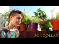 Samanta Musella Canta - Sonqollay