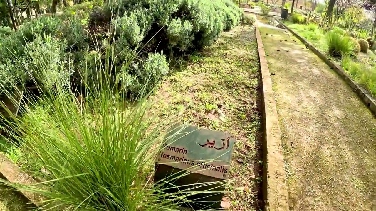 Jnan Sbil Fès | Tour complet du jardin historique & ambiance nature (4K)