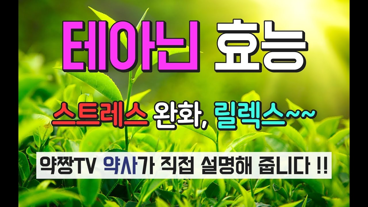 녹차 테아닌 효능 - 스트레스 긴장 완화 릴렉스 수면 약사가 설명합니다