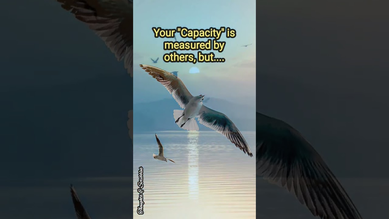 Capacity Vs Capability