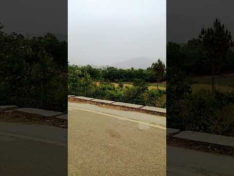    جميل اكسبلور    جمال