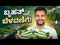 रेशम का कीड़ा cocoon के अंदर दो दिन क्यों खाता है? | Silkworm Life Cycle Explained